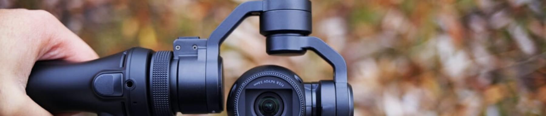 Gimbals