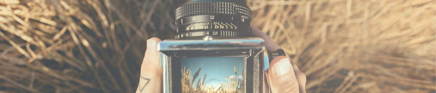 Medium Format Cameras