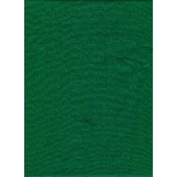 PM Backdrop Wrinkle Resistant 10'x20' - Chroma Green