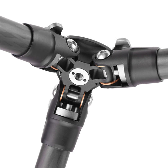 Leofoto LS-223C Ranger Series 3 Section Carbon Fibre Tripod with LH-25LR (Lever Release) Ball Head