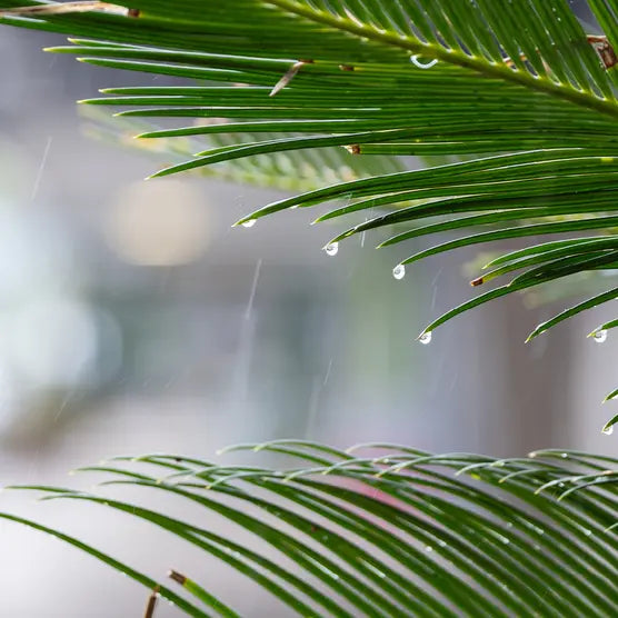 Tamron 50-400mm f/4.5-6.3 Di III VC VXD Lens - for Nikon-Z