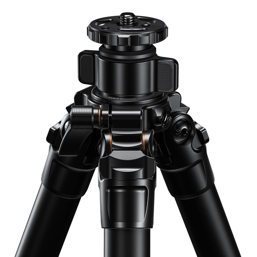 Leofoto LG-284C Black 4 Section Water Resistant Carbon Fibre Tripod with LH-36R Ball Head