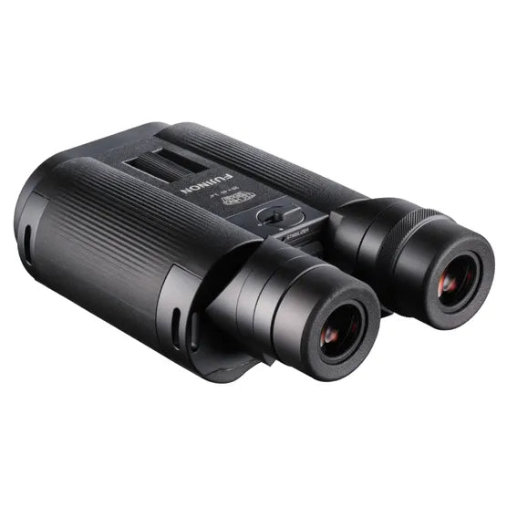 Fujifilm TS-L 20x40 TECHNO-STABI Binoculars