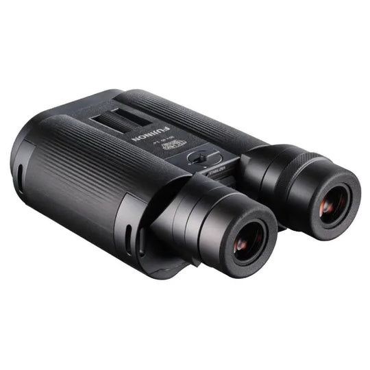 Fujifilm TS-L 20x40 TECHNO-STABI Binoculars