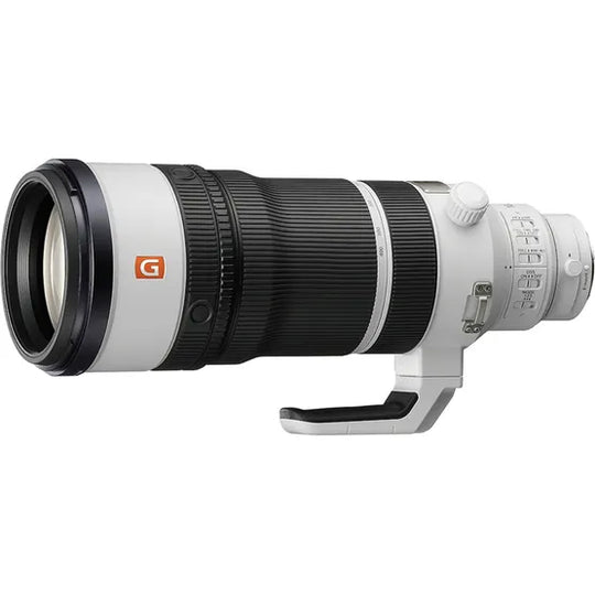 Sony FE 100-400mm f/4.5 GM OSS LENS