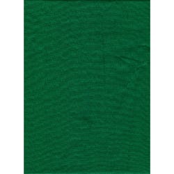 PM  Backdrop Poly Cotton 10'x12' Solid - Chroma Green