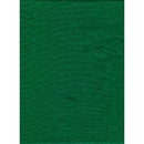 PM  Backdrop Poly Cotton 6'x10' Soild - Chroma Green