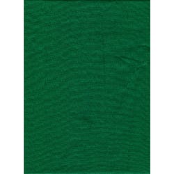 PM  Backdrop Poly Cotton 6'x10' Soild - Chroma Green
