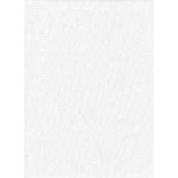 PM  Backdrop Poly Cotton 10'x20' Solid - White