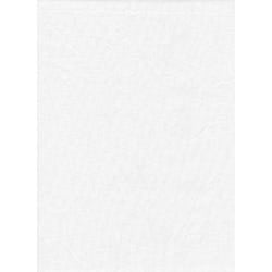 PM  Backdrop Poly Cotton 6'x10' Soild - White