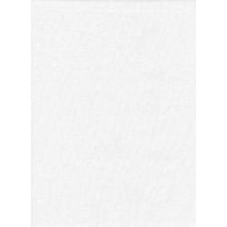 PM  Backdrop Poly Cotton 10'x12' Solid - White