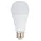 PM  LED Studio Lamp 14W/5600K E27