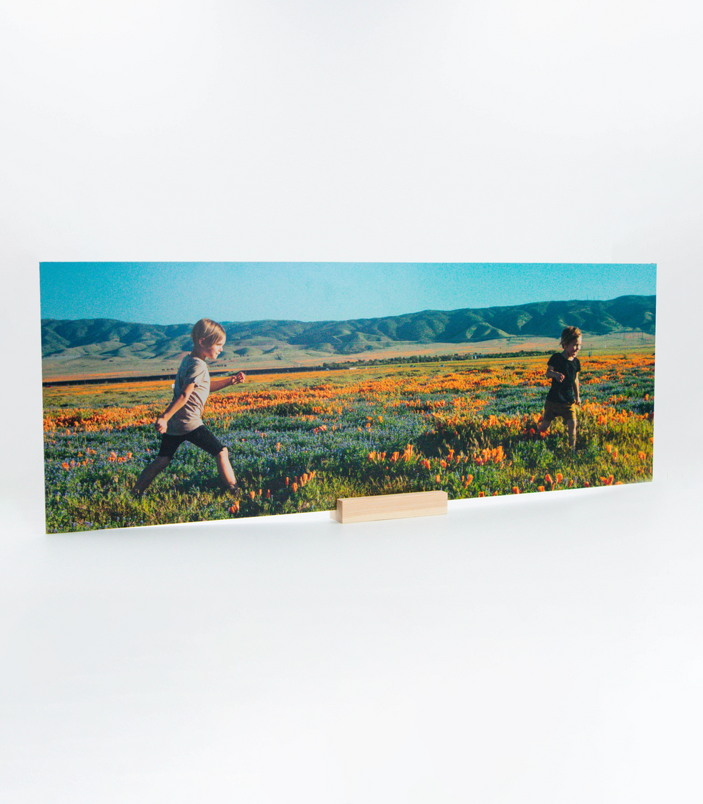 Metal Photo Print - Panorama